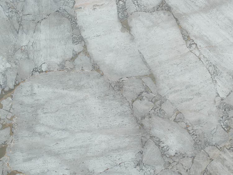Pollino Gris