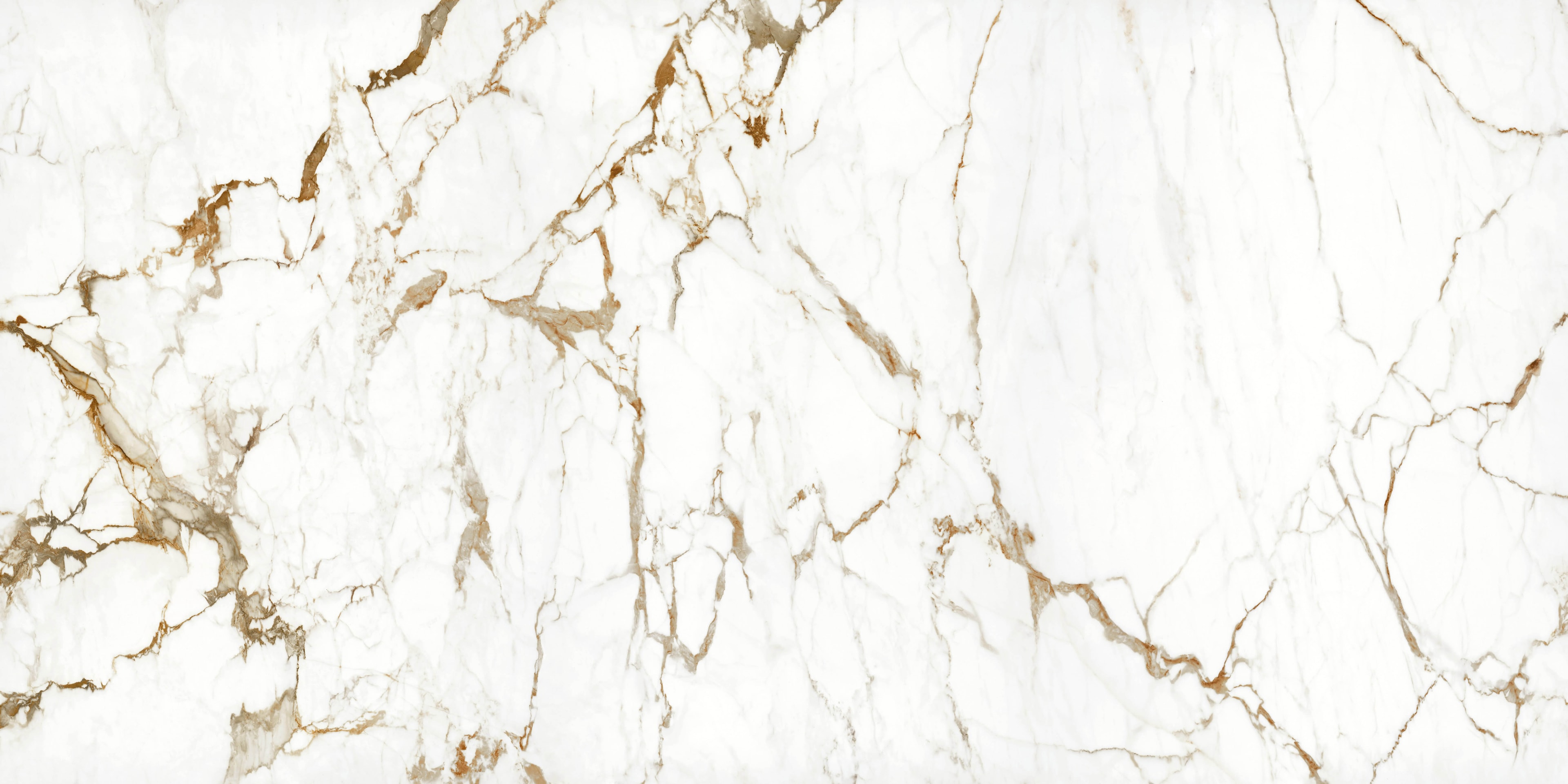 Blanc Dominion