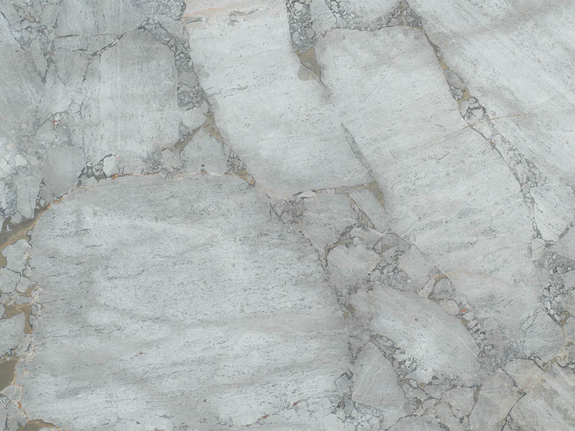 Pollino Gris
